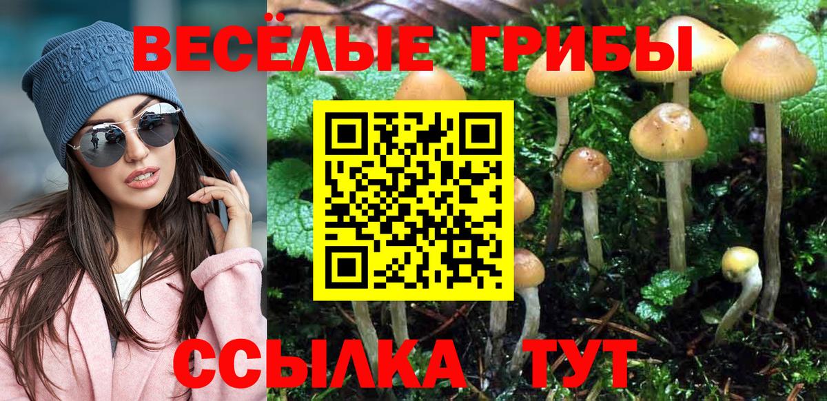 Галлюциногенные грибы Magic Shrooms  Вход с VPN  Галлюциногенные грибы MAGIC MUSHROOMS  Знаменск 