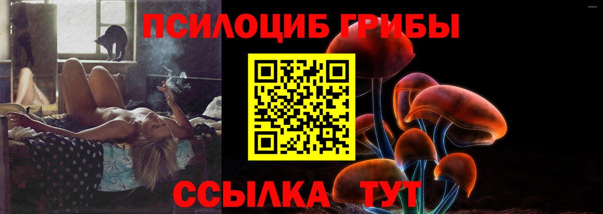 Галлюциногенные грибы Psilocybine cubensis Знаменск